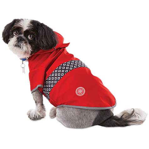 A small dog in a red rain coat.