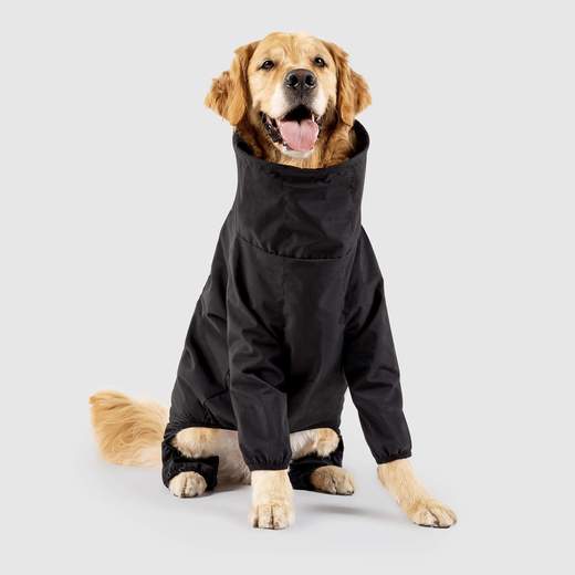 A golden retriever in a full slush suit.