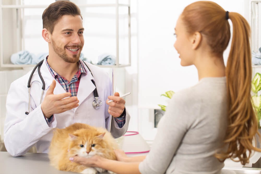 women talking to vet