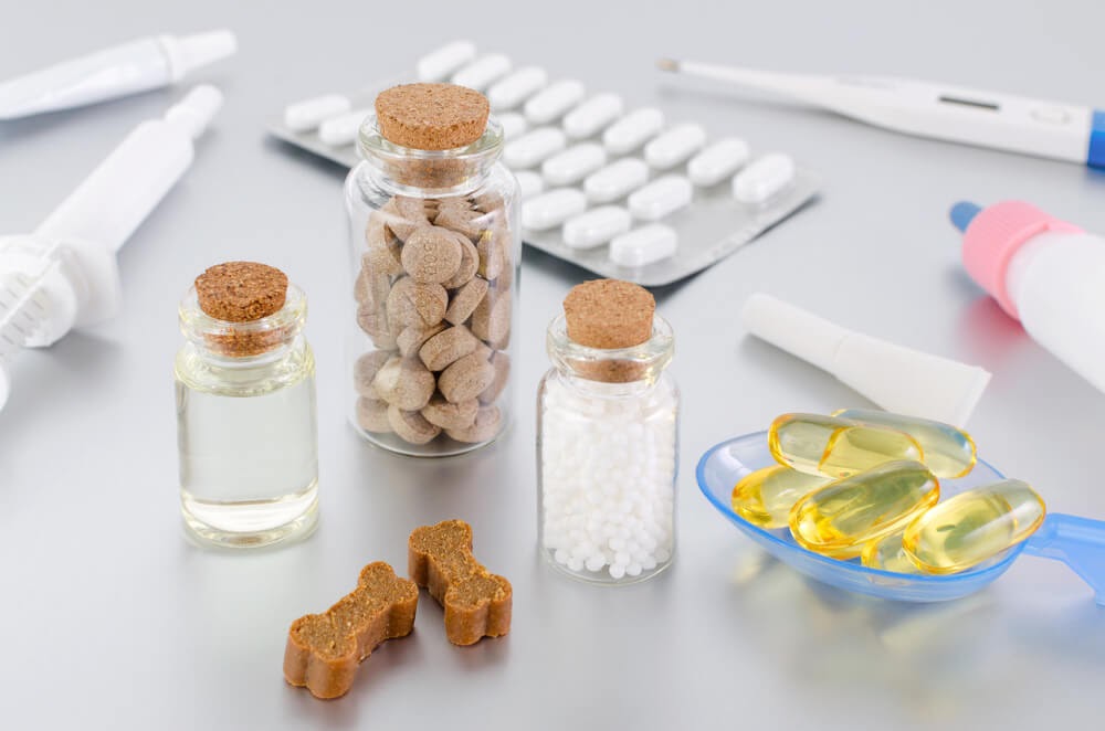 different forms of CBD for pets