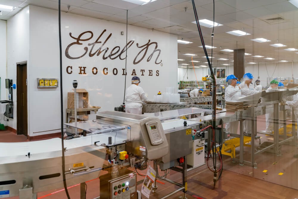 Chocolate makers working in factory