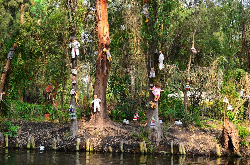 Isla de las Munecas in Mexico. Trees covered in dolls in various stages of disrepair.
