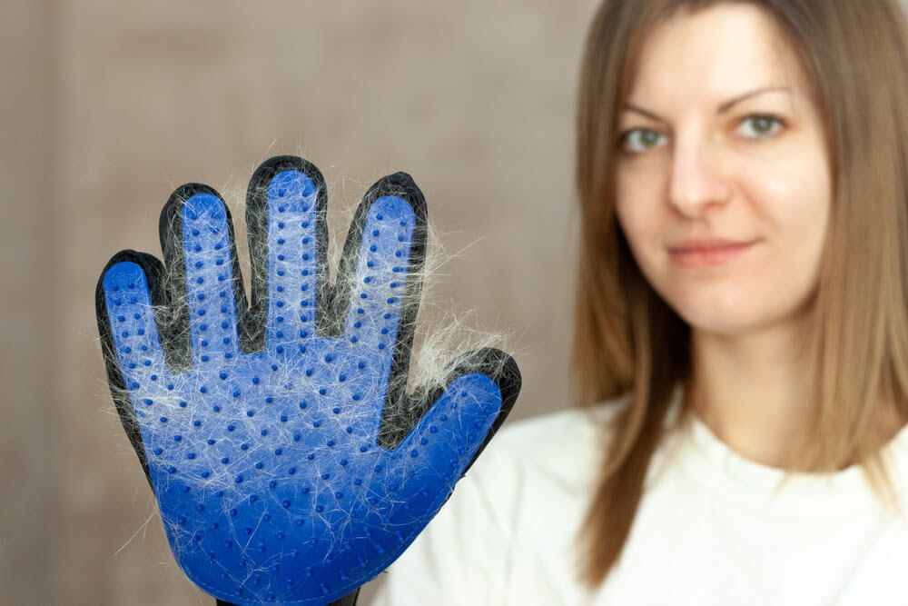 Woman wearing a deshedding glove full of pet fur.