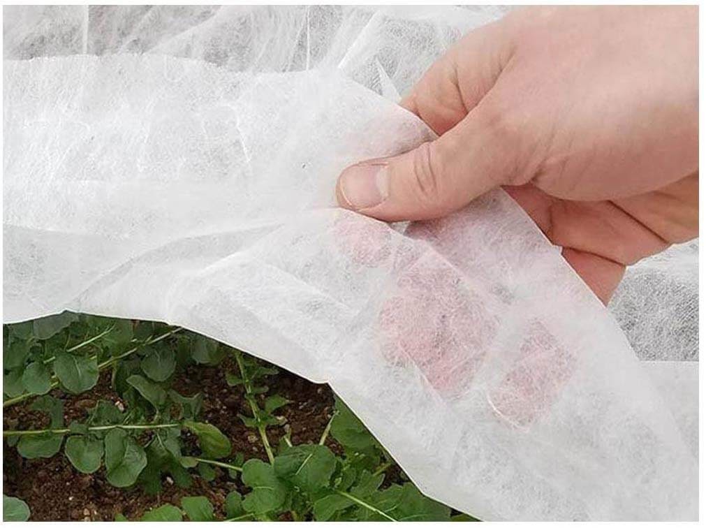protective cloth for plants during winter