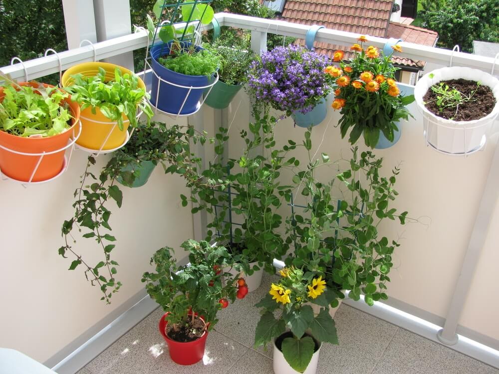 Corner balcony garden made from hanging plants and pots on the ground.