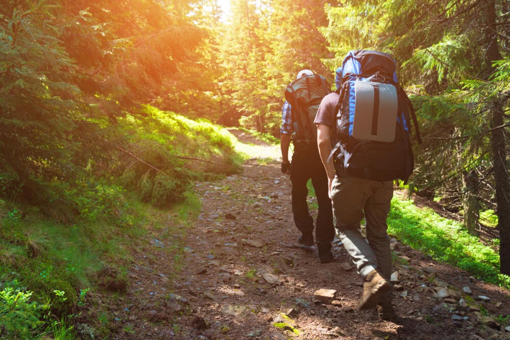 Two guys hiking in the woods.