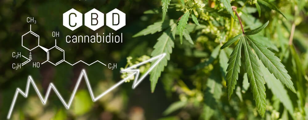 CBD molecule illustration.
