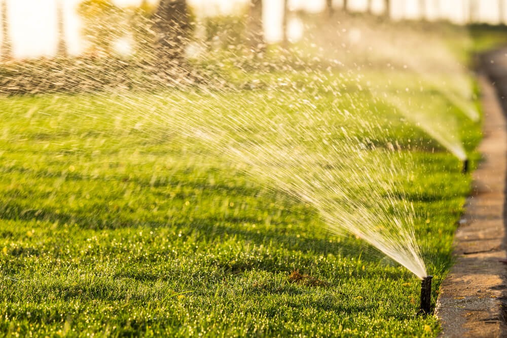 Close up of sprinkler