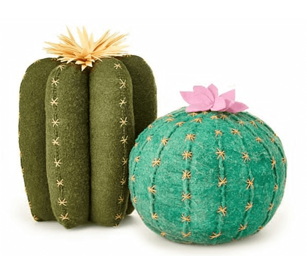 Cactus pillows