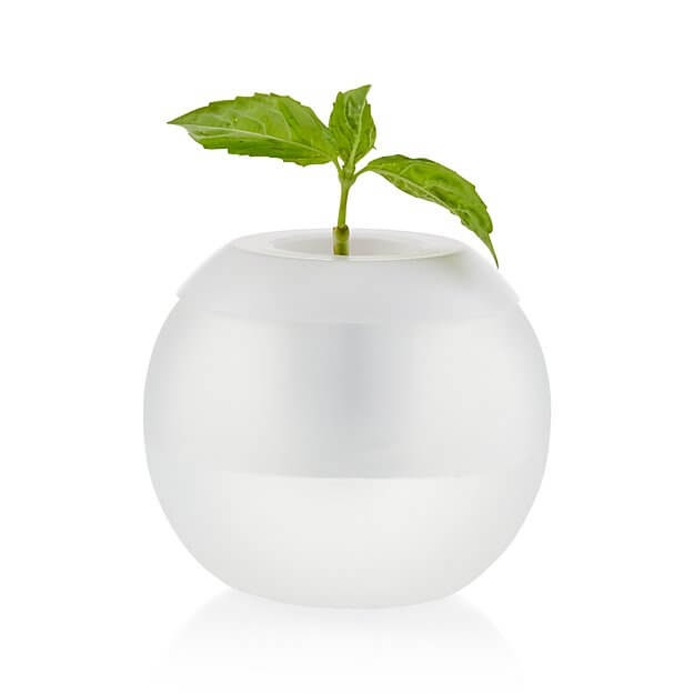 Hydropod Glass Bowl