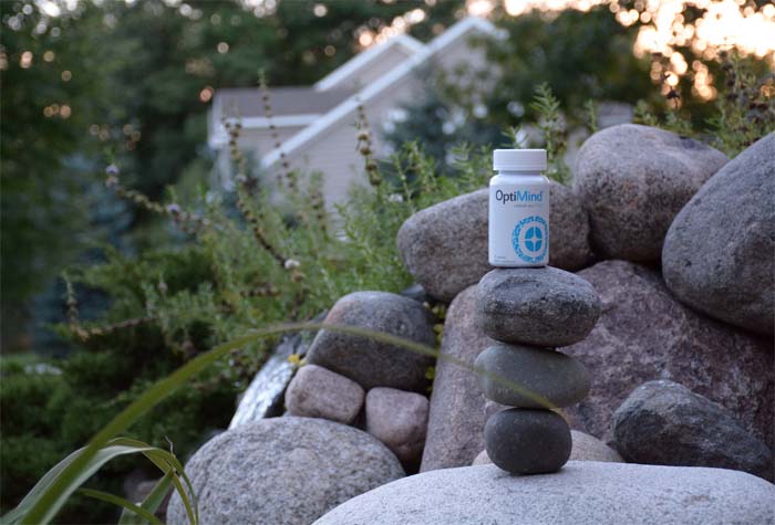 OptiMind-energy-hack
