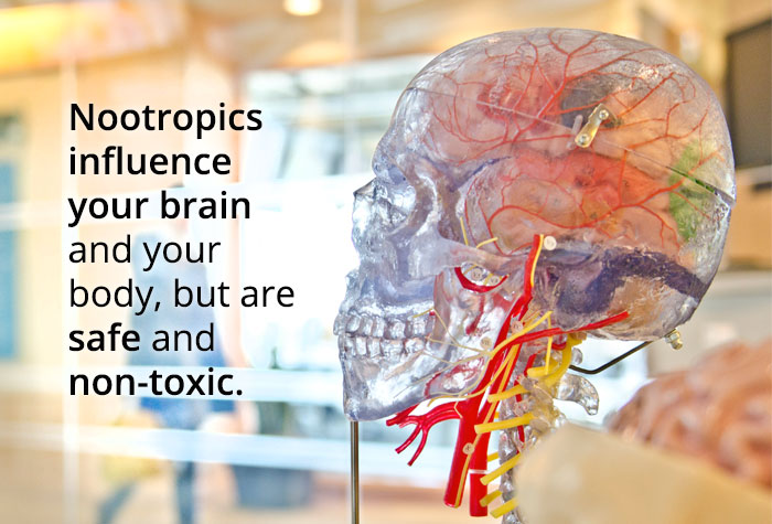 nootropics are safe and non-toxic