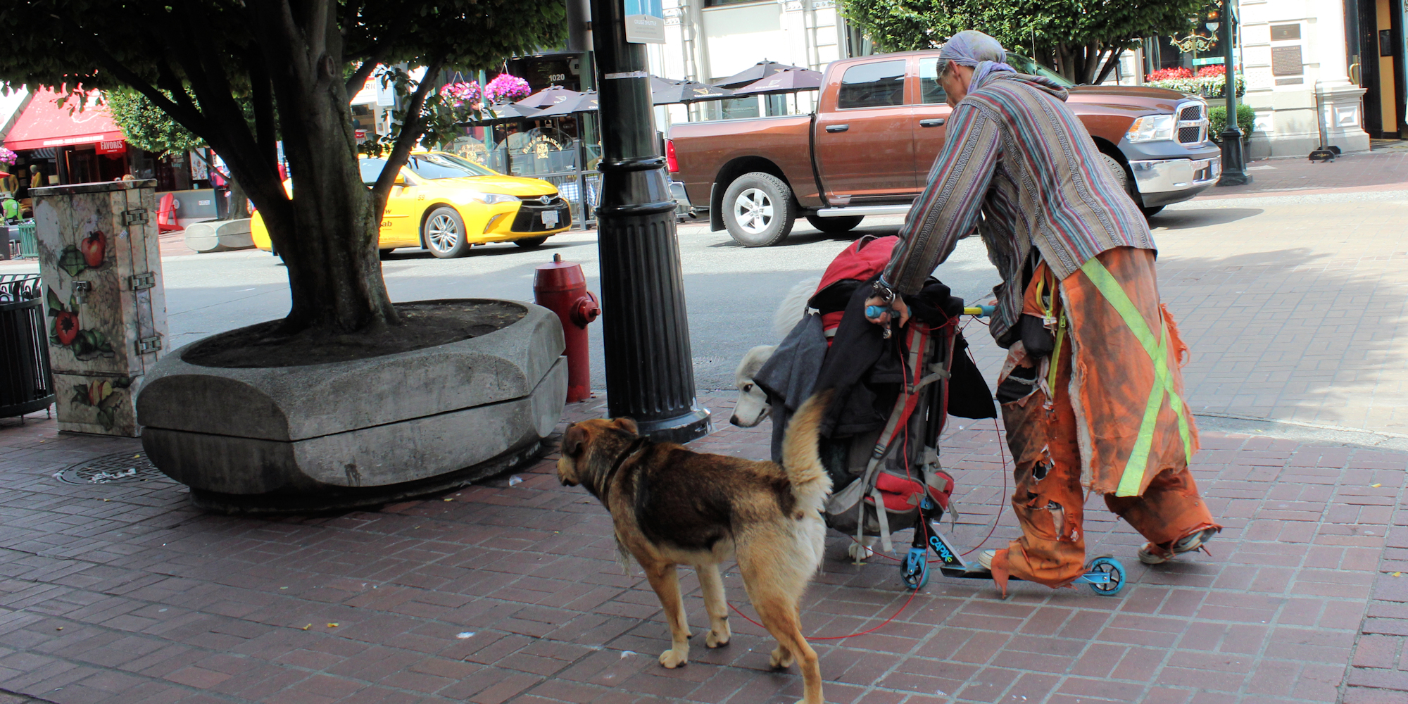 The Race to Shelter Victoria’s Homeless Before It’s Too Late Capital