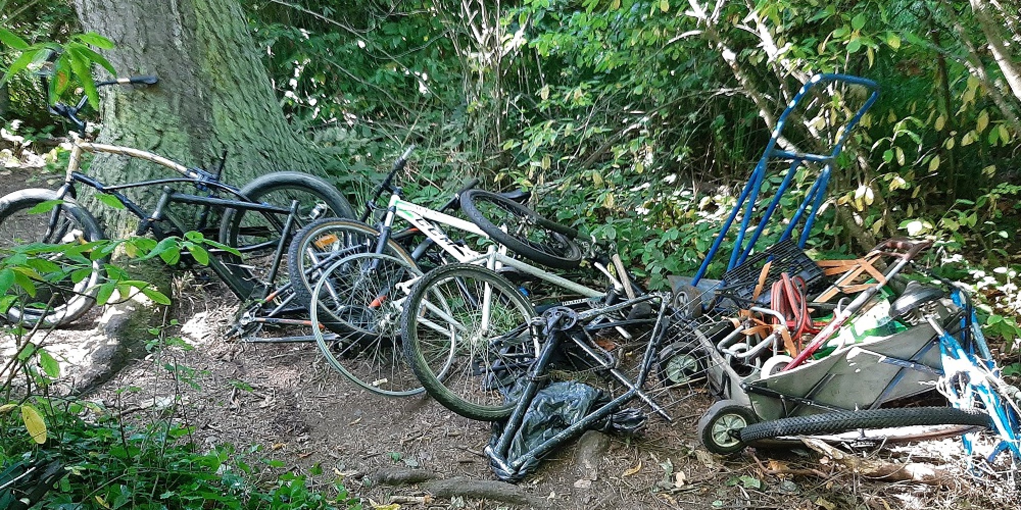 giant trance bike park