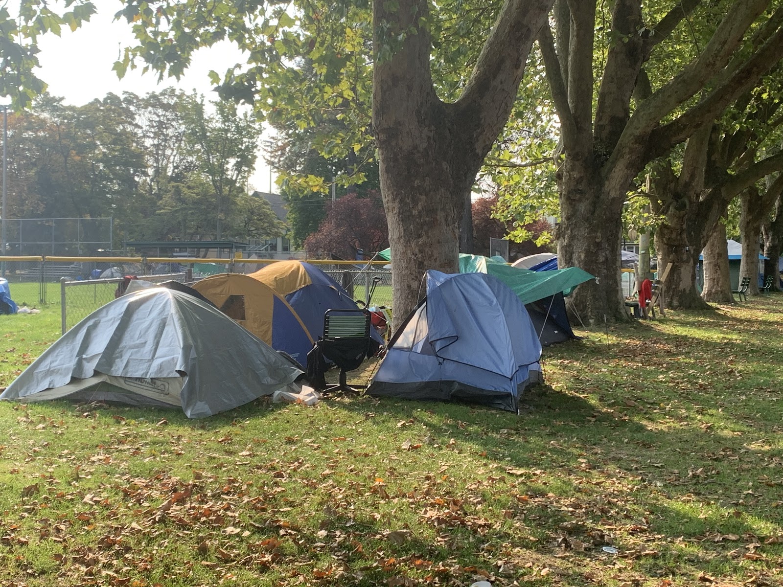 Inside Victoria’s newest tent city Capital Daily