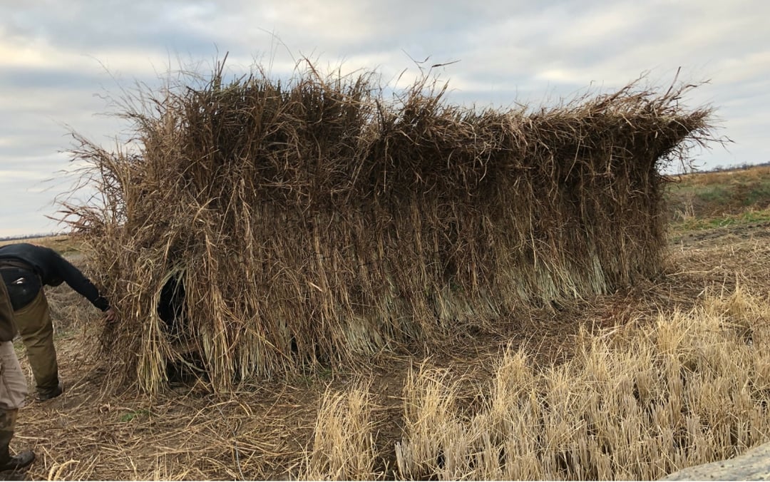 Arkansas Duck Hunting Pictures Cupped Wings Guide Service arkansas-duck-hunting-pictures-cupped-wings-guide-service