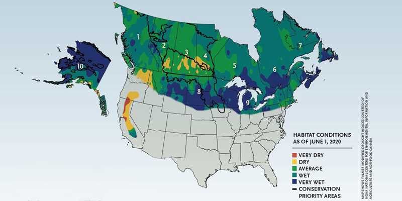 Spring 2020 Waterfowl Habitat Conditions Map