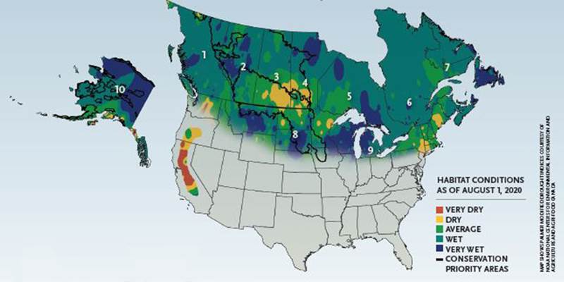 Summer 2020 Waterfowl Habitat Conditions Map