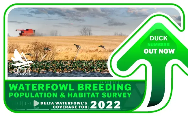 2022 Waterfowl Breeding