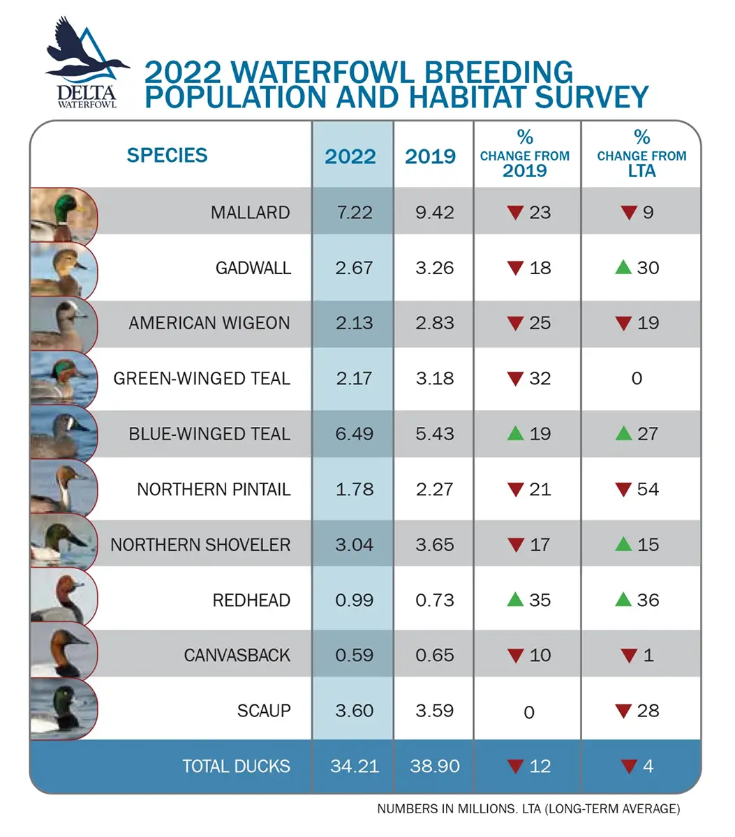 2022 Waterfowl Breeding Population