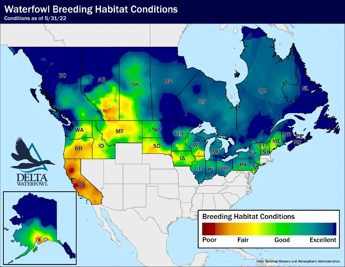 2022 Waterfowl Breeding Habitat Conditions