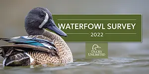 2022 Duck Population Numbers | 2022-2023 Waterfowl Season