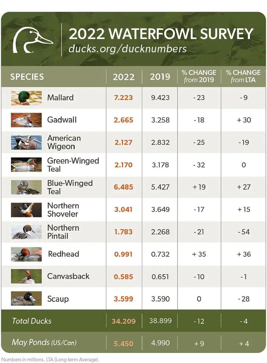 2022 Duck Survey Chart