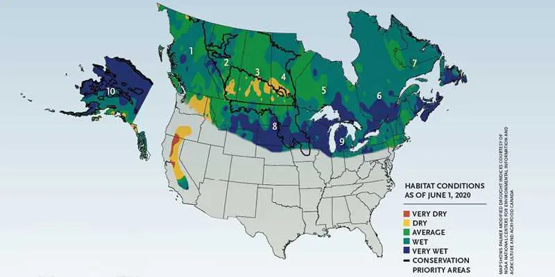 Spring 2020 Waterfowl Habitat Conditions Map