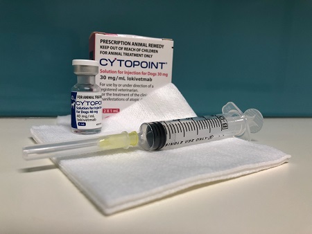 cadi cytopoint injection