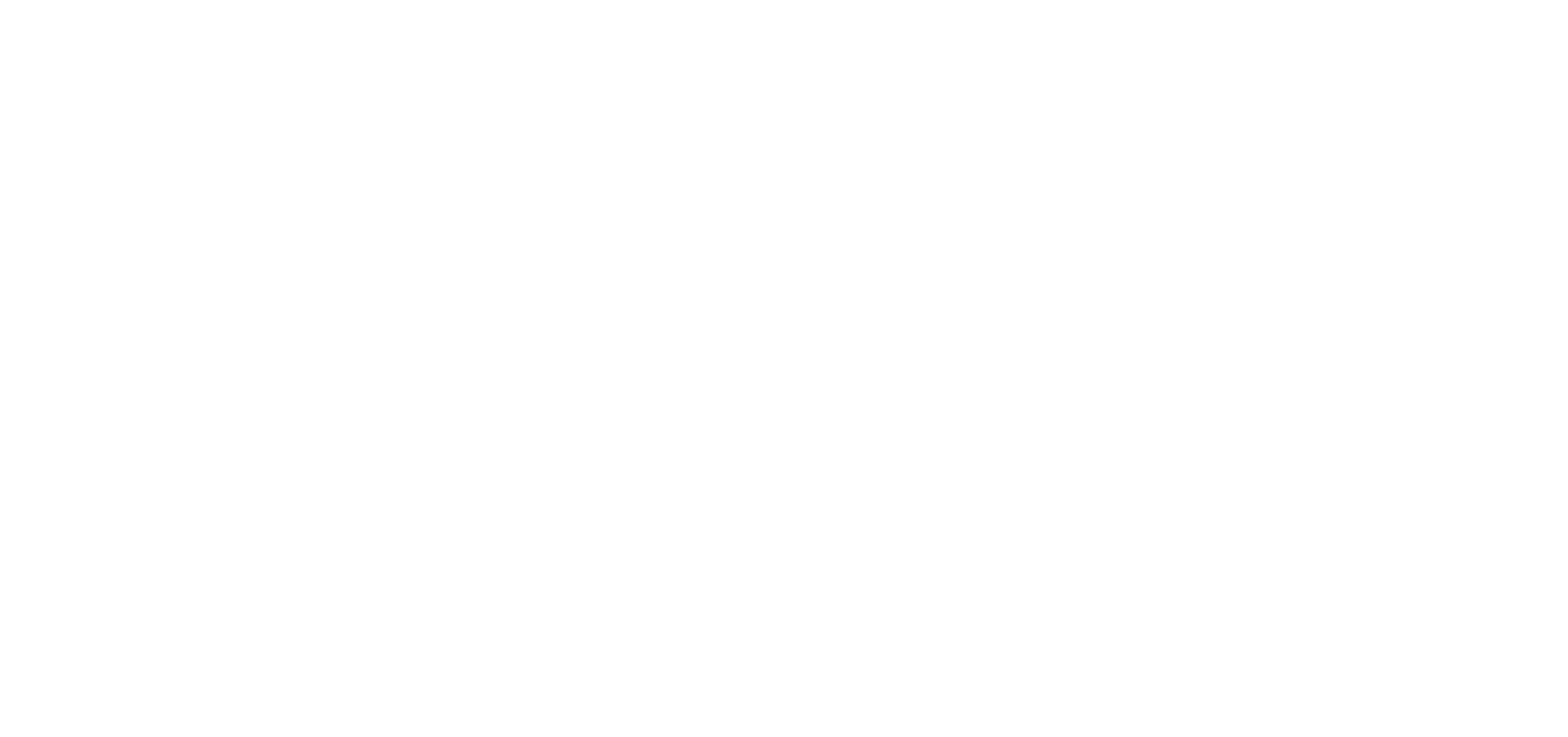 ecommerce evolution logo