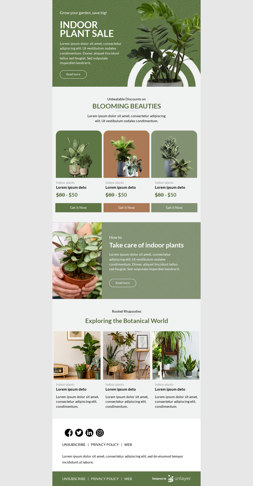 Plantilla de email para venta de plantas de interior Unlayer