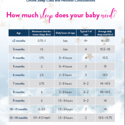 Bay Area Sleep Consultant