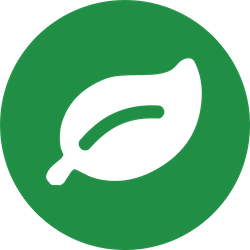 Rainforest Leaf Logo