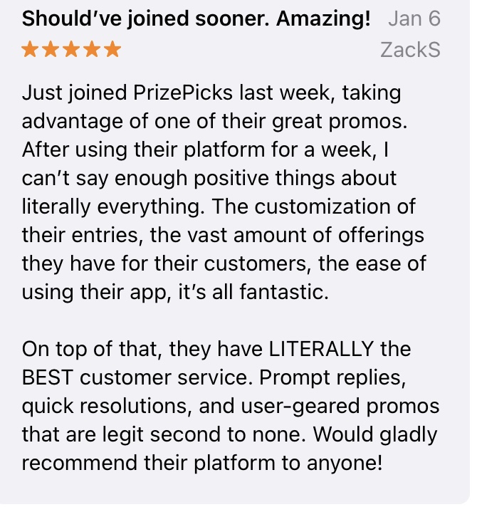 Photo of an online review with 5 stars