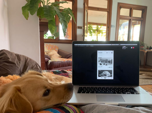 Team member Pieter working at home on remote Wednesday.