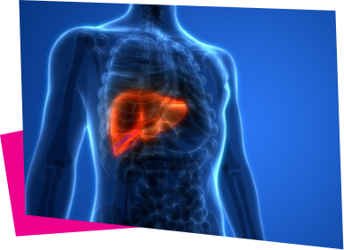 Hepatology