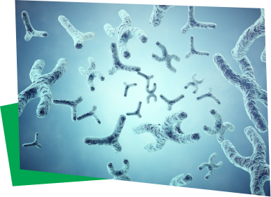 Ethnic differences in biomarkers