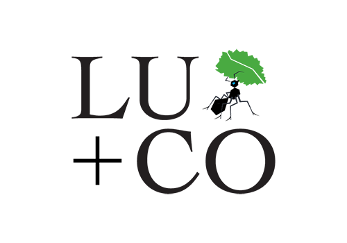 LU+CO Soft-launch at ACC Fashion Incubator