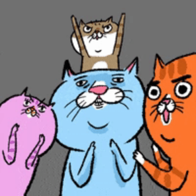 Apanhado na Fake - meme gatos