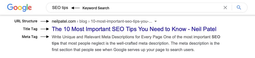 Search Engine Results Page with Title Tag, Meta Tag & URL Structure
