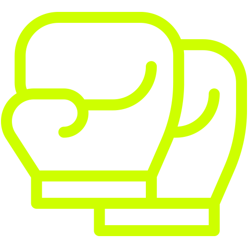 Boxing glove icon
