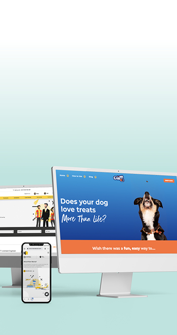 Some examples of designed, developed webflow websites