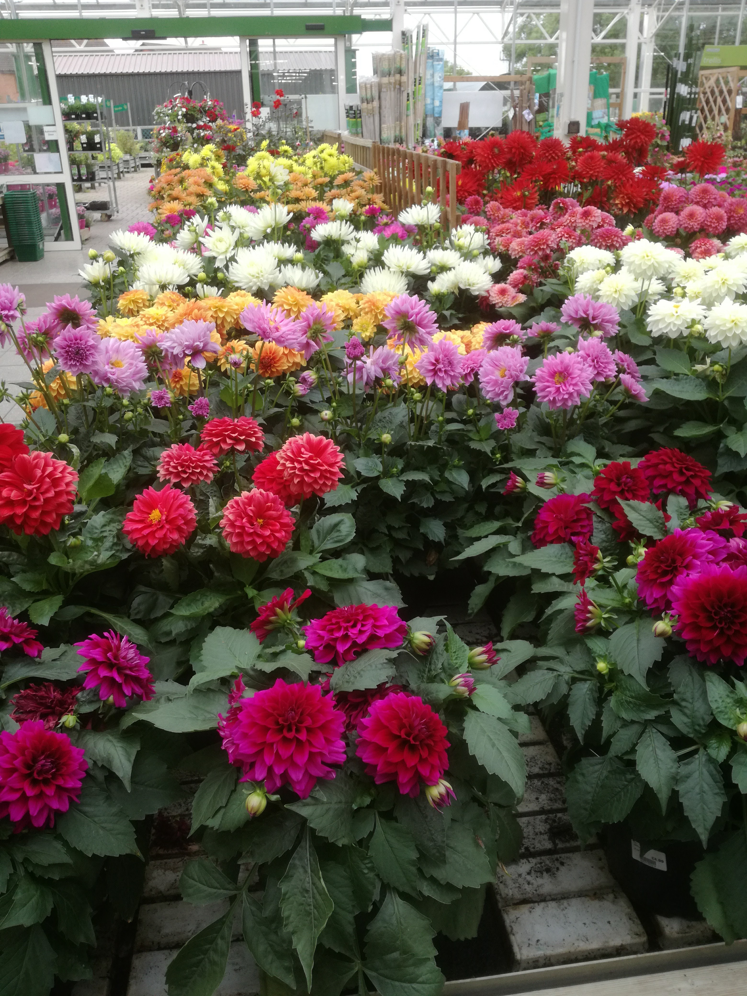 Gardening Services In Finchley Creative Scapes Gardeners