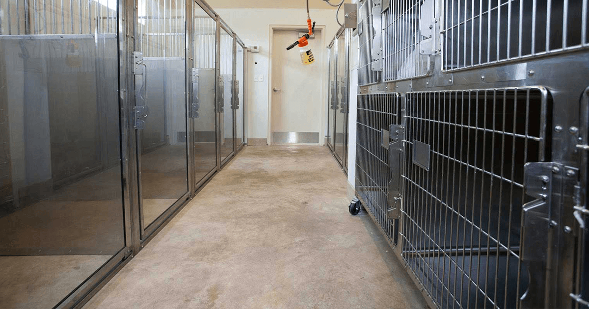 Resources Mandeville Animal Hospital