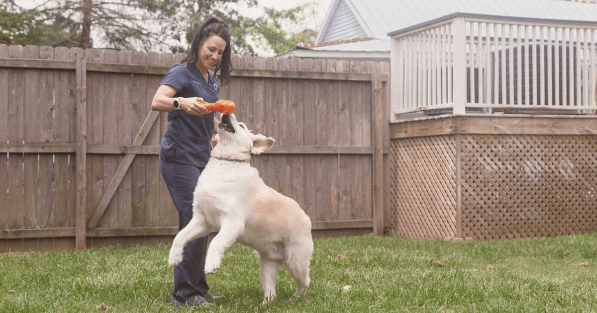 Services Mandeville Animal Hospital