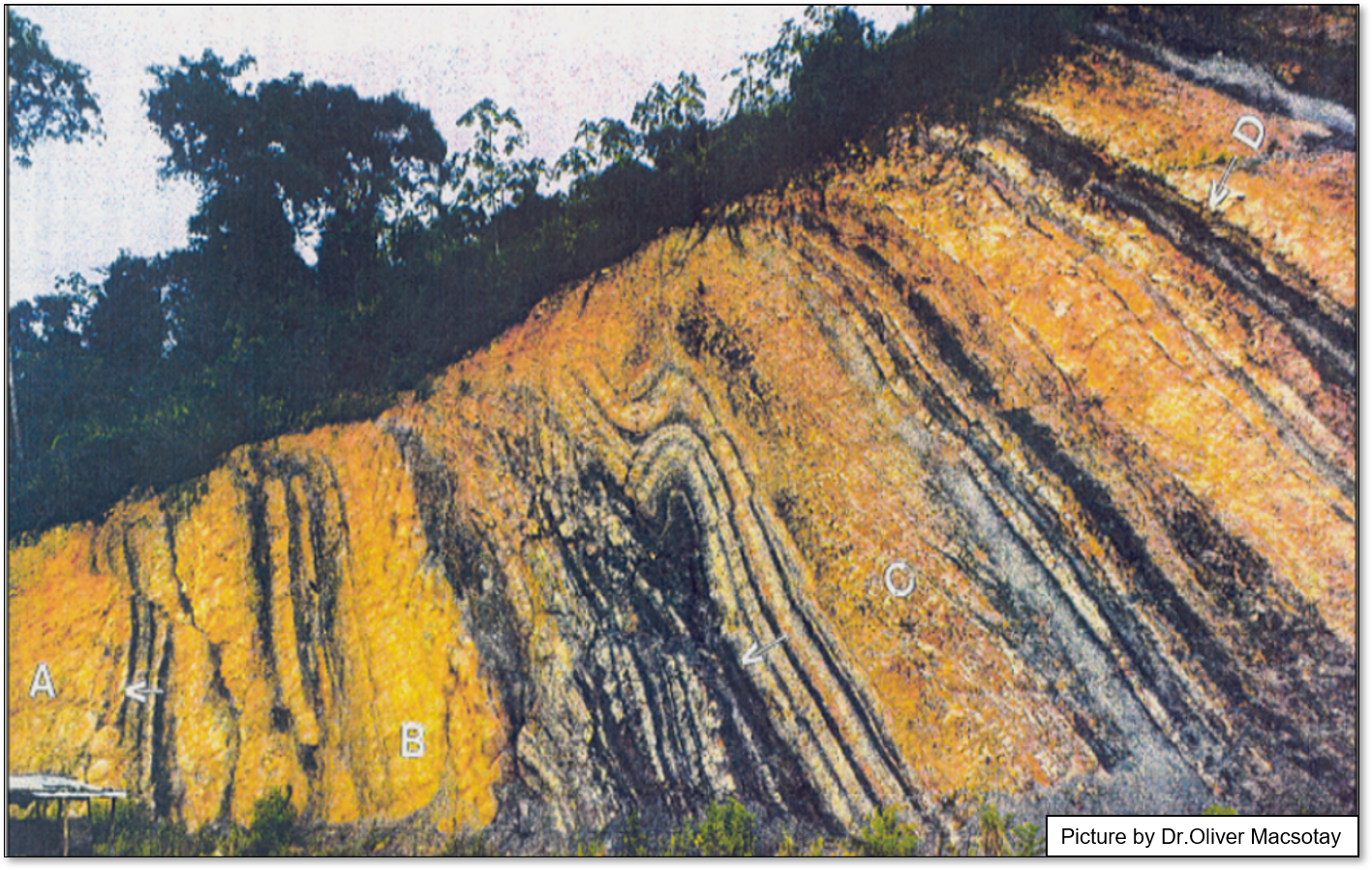 Early Cretaceous Conomita outcrop: structural analysis of syn-sedimentary gravity-driven deformations (NE Venezuela)