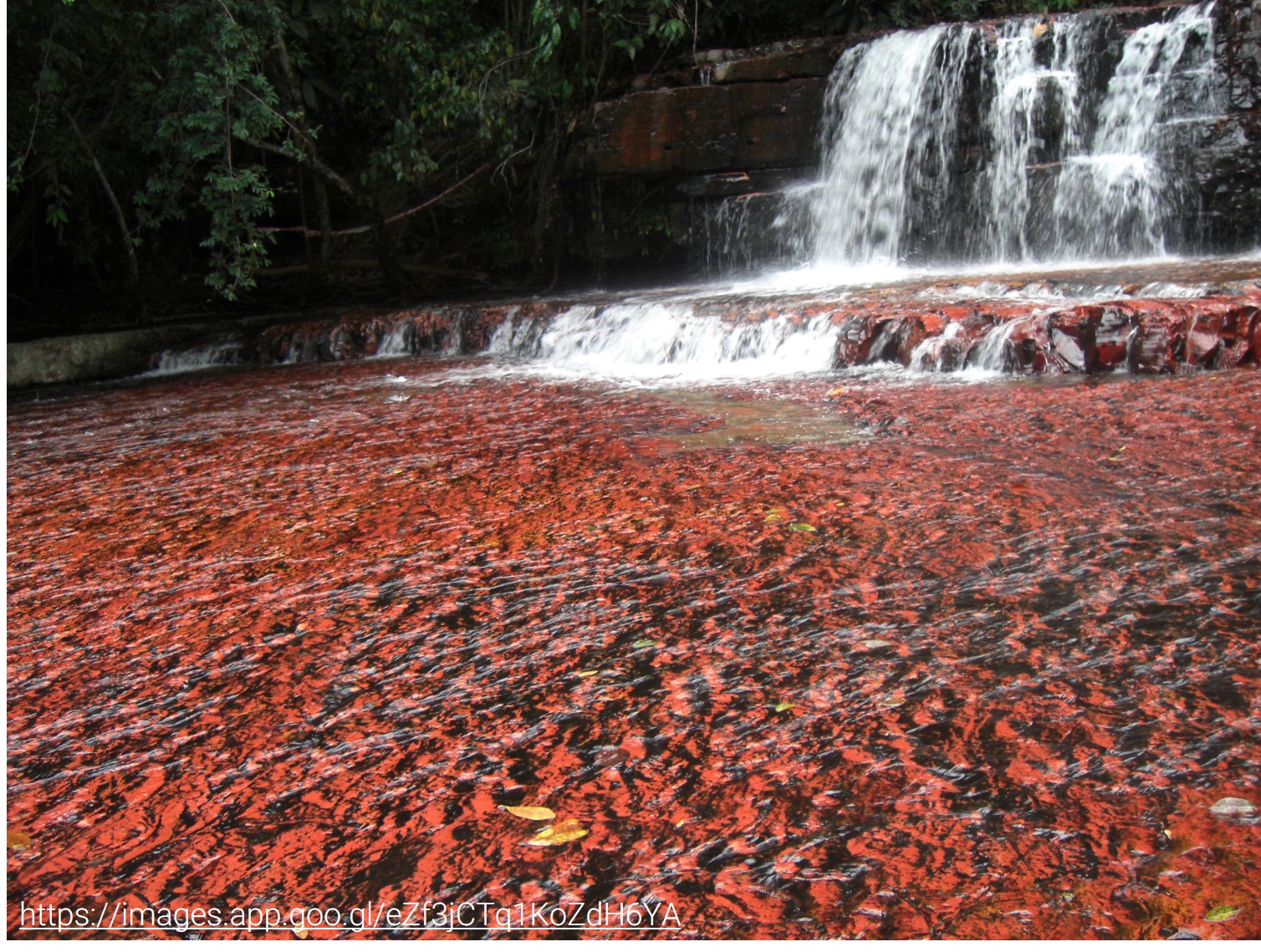 Geología de Guayana y sus recursos minerales - Venezuela