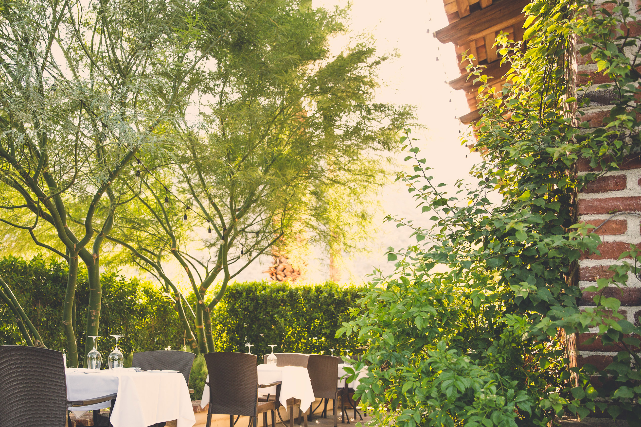 Miro Spanish Restaurant Charlotte - llxdv39