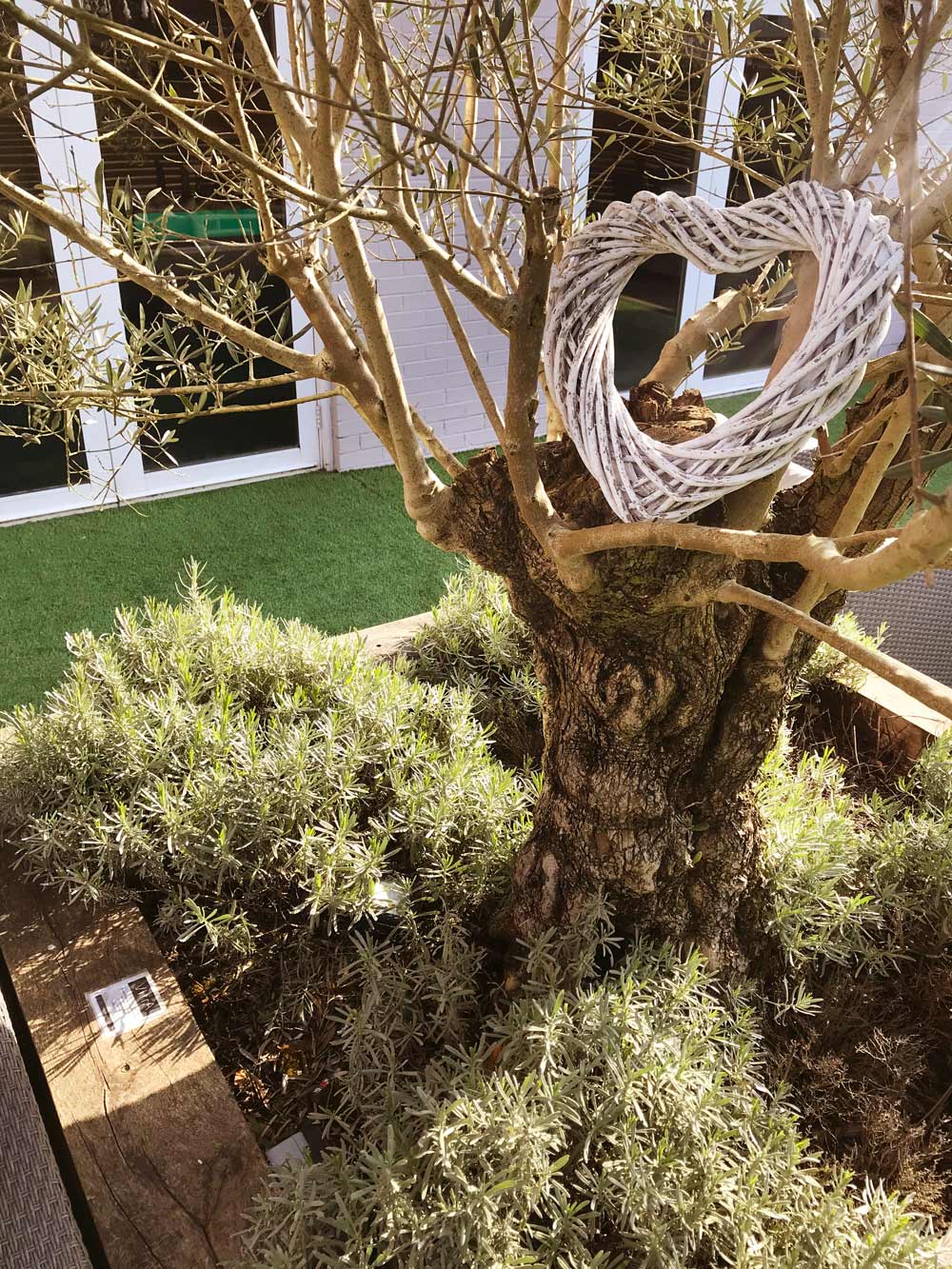 A garden built with Love