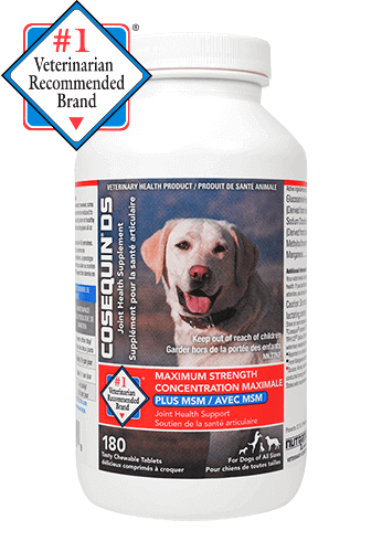 Cosequin Bottle 180 count Chewable-Tablets with Number 1 Veterinarian Recommended Brand▼ (Canada)